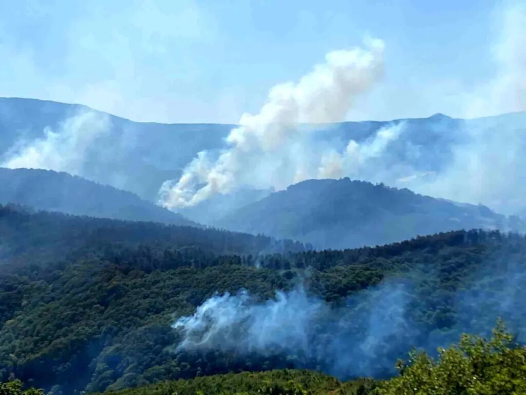 Karamürsel’deki Orman Yangınına Müdahale Sürüyor
