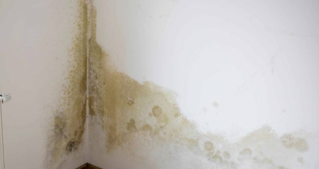 odaya bir tane koymaniz yetiyor rutubeti hemen yok ediyor VS2ypDcM