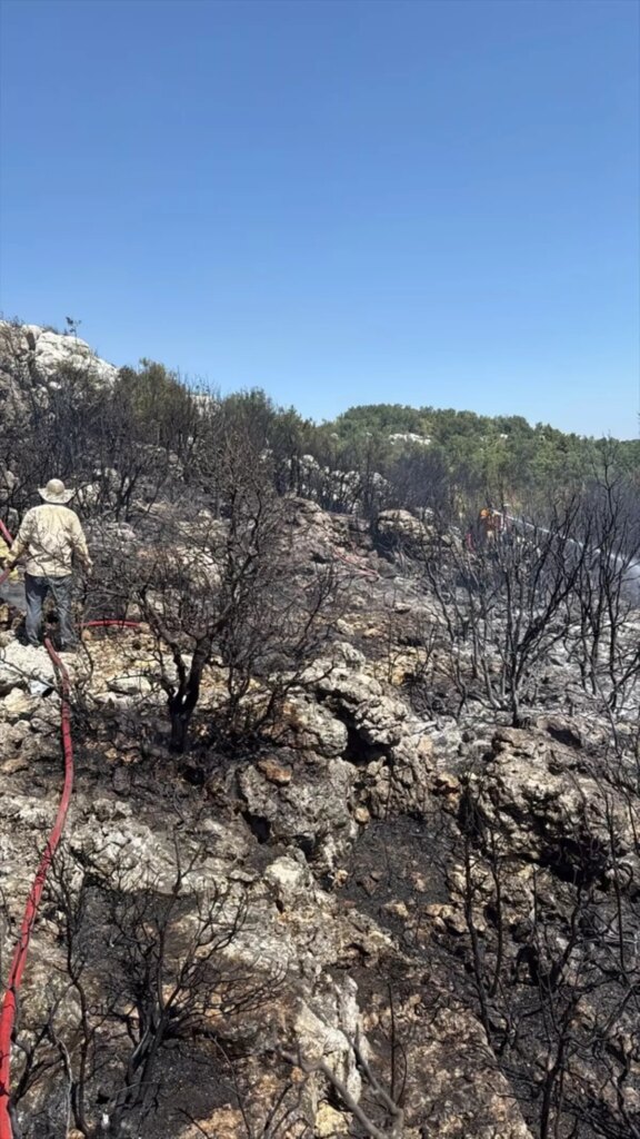 silifkede agaclik alanda yangin 4BYh2ePM