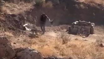 dort aylik kopege siddet uygulayan kisi gozaltina alindi Zk8tFSaF