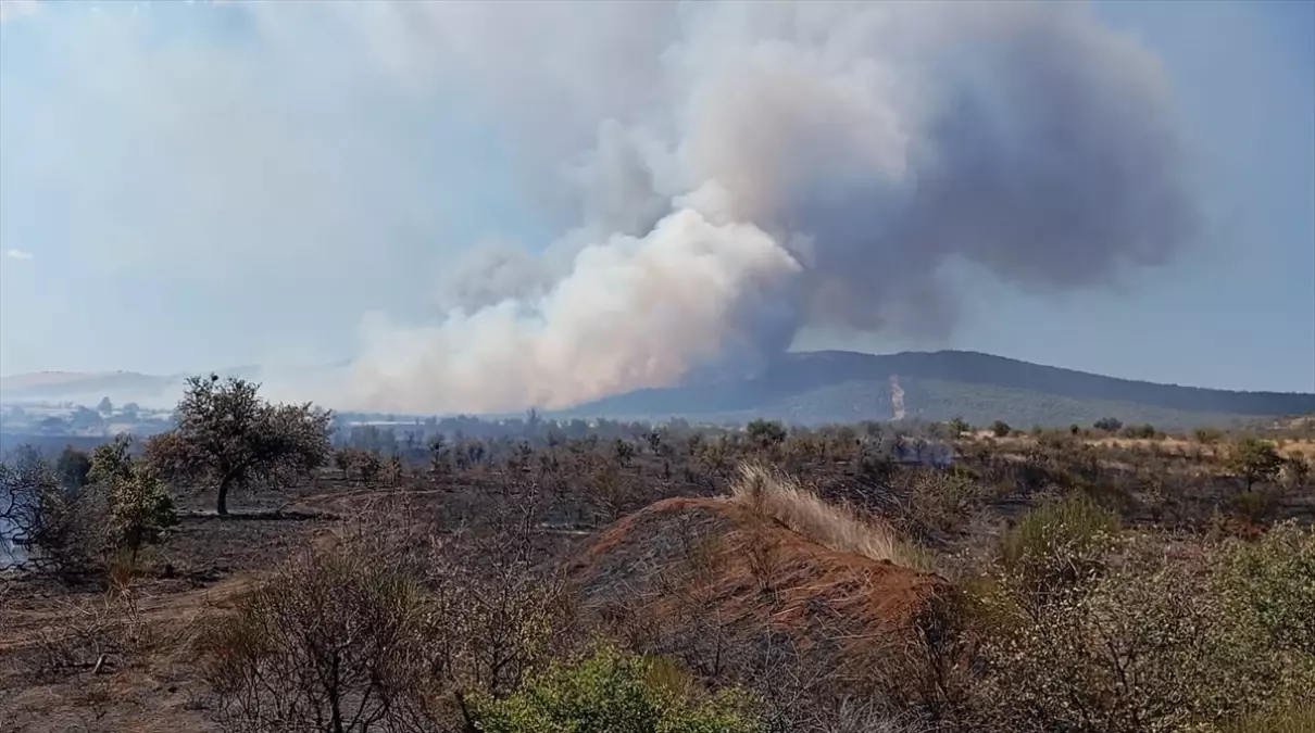 geliboluda tarim arazisinde yangin 29H733qe
