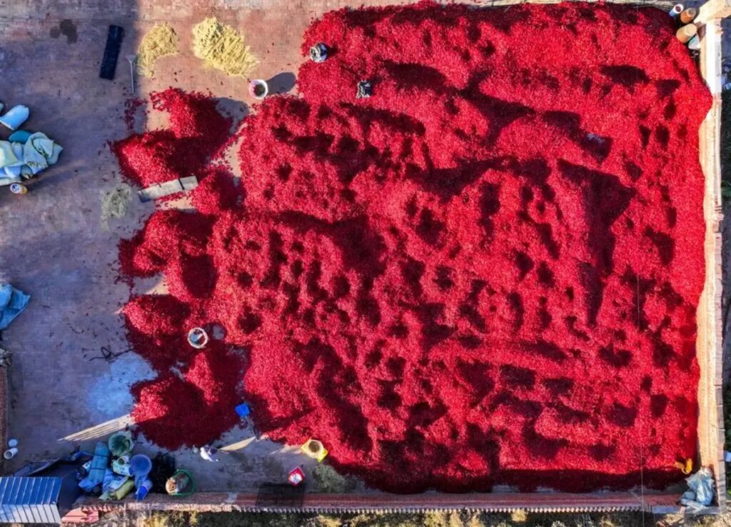 biber hasadi basladi 4AybueMD.jpg