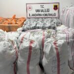 piyasa degeri 1 milyon 630 bin lira vanda kacakcilik operasyonu bA5hzCwk