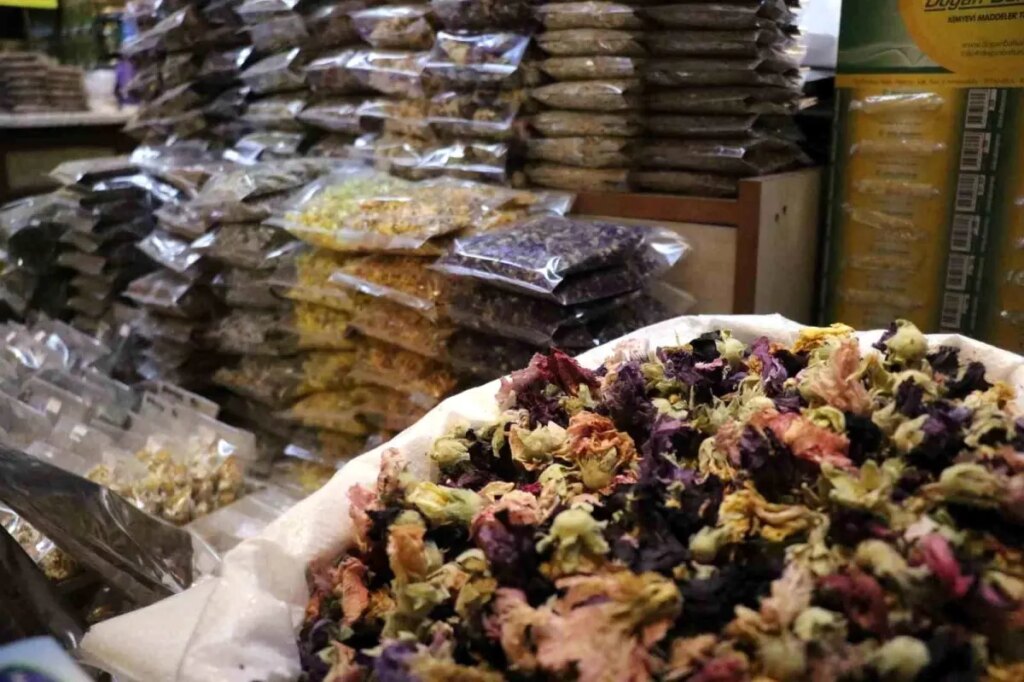 sakaryada soguk alginligina karsi aktarlara yogun ilgi ig7TlRif