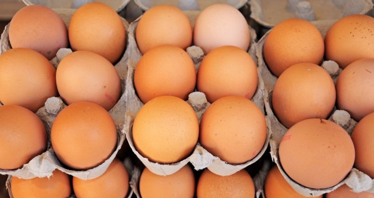 yumurta krizi kapida uretimde sert dusus eFvLQJA7.jpg