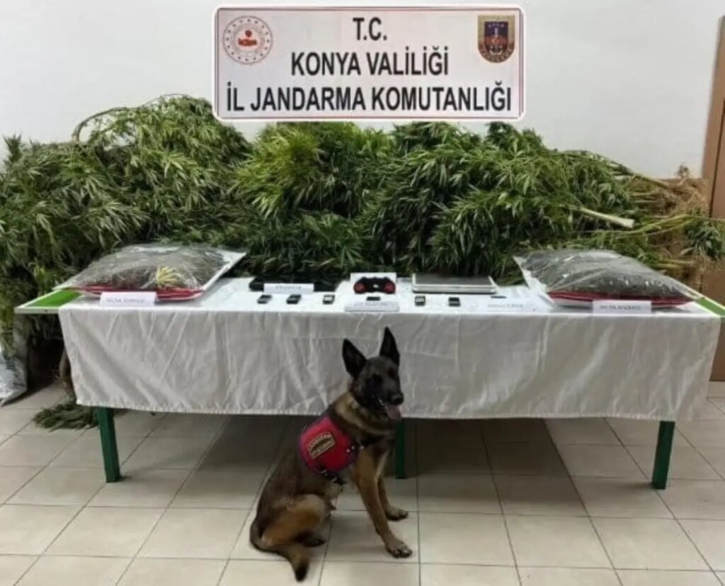 Uyuşturucu Operasyonunda Avukat Beraat Etti